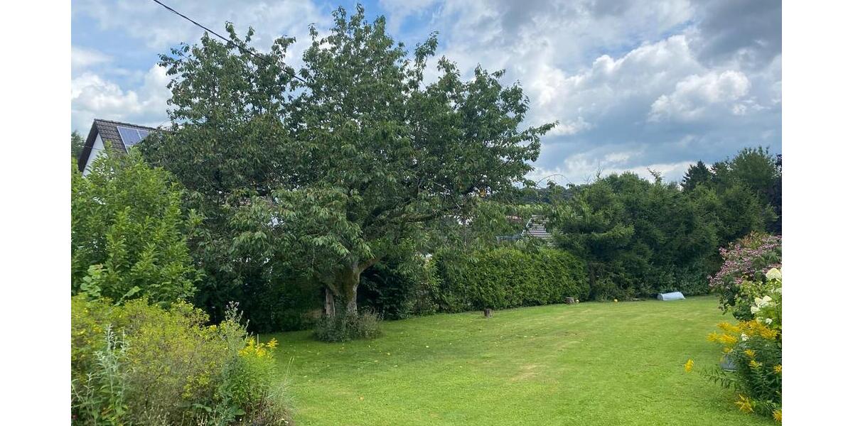 Platz für Ihre Ideen- Baugrundstück in bester, dörflicher Lage zimmer