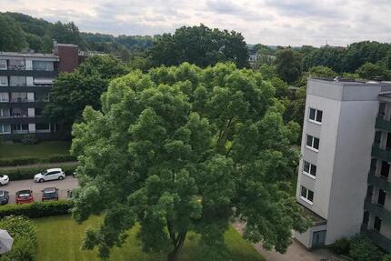 Wohnung Melsdorf - 3 Zimmer, 76 m&sup2;, 210.000&euro; | Angebot:27428545