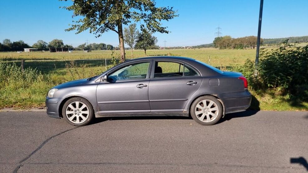 Avensis