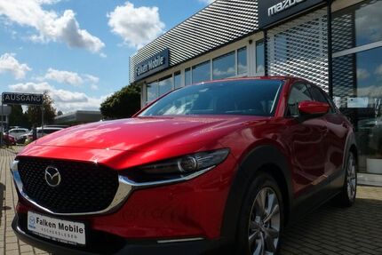 Mazda CX-30 47.436 km 20.990 &euro; Aschersleben 06449
