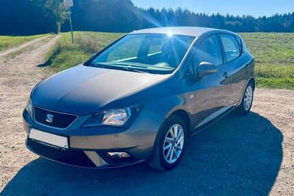 Seat Ibiza 103.000 km 6.990 € Bad Abbach 93077