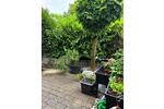 Erdgeschoßwohnung Erlenbach - 3 Zimmer, 78 m&sup2;, 315.000&euro; | Angebot:26889094