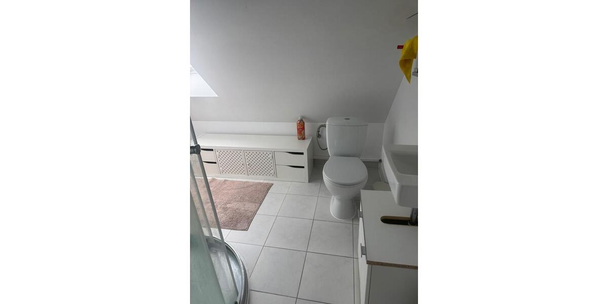 Dachgeschoßwohnung Ludwigshafen am Rhein Ludwigshafen-Hemshof - 1 Zimmer, 15 m&sup2;, 300&euro; | Angebot:24840802