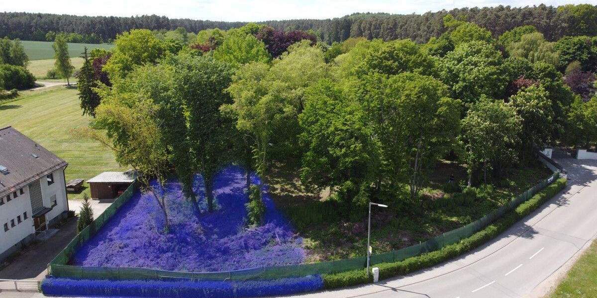 Herrliches Baugrundstück im fränkischen Seenland am See! Ab ca. 700m² für Ihr Traumhaus! zimmer