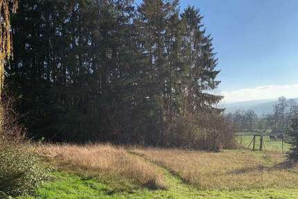 Grundstück zu verkaufen in Neu-Anspach 380.000 € 1603 m² zimmer