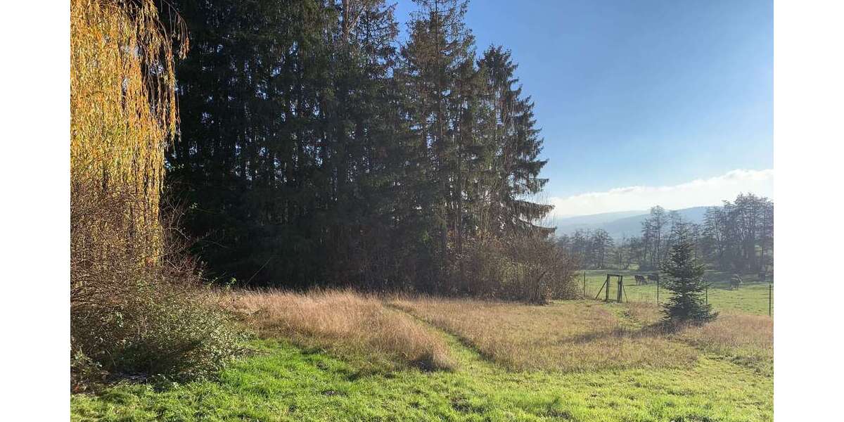 Grundstück zu verkaufen in Neu-Anspach 380.000 € 1603 m² zimmer