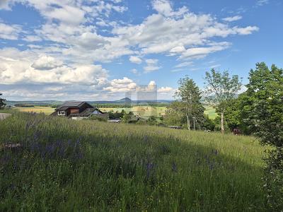 UNVERBAUBARES NATURPARADIES MIT PREMIUMAUSSICHT - Grundstück Tengen | Angebot:26681950