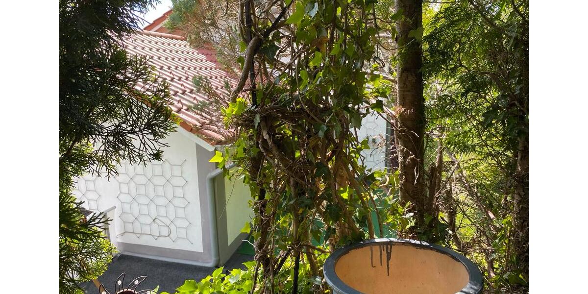 Mehrfamilienhaus, Wohnhaus Regen - 8 Zimmer, 203 m&sup2;, 1.600&euro; | Angebot:26343571