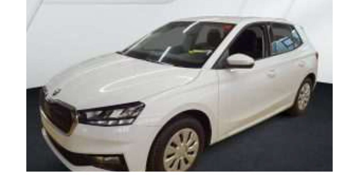 Skoda Fabia 14.821 km 17.830 &euro; Mitterteich 95666