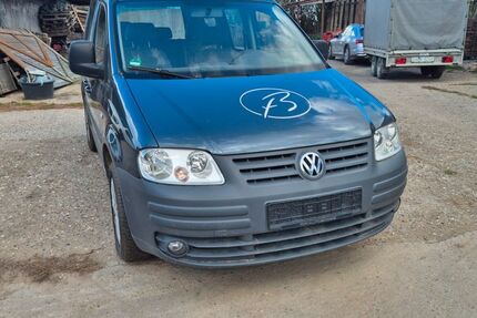VW Caddy 250.000 km 1.199 &euro; Stockstadt am Rhein 64589