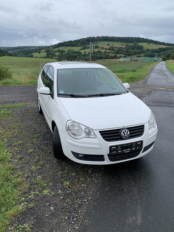 Polo