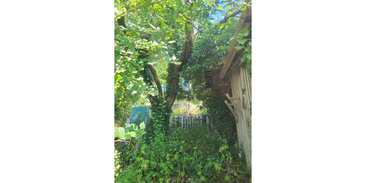 Doppelhaushälfte Bopfingen - 3 Zimmer, 44 m&sup2;, 65.000&euro; | Angebot:27110627