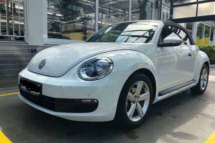 VW Beetle
