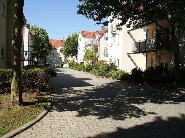 Wohnung zum Mieten in Dresden 310 € 36.3 m²