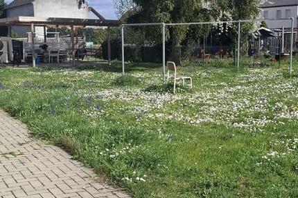 Wohnung Wolmirstedt - 2 Zimmer, 68 m&sup2;, 672&euro; | Angebot:26251778