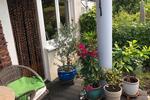 Erdgeschoßwohnung Steinen - 3 Zimmer, 82 m&sup2;, 298.000&euro; | Angebot:25883526