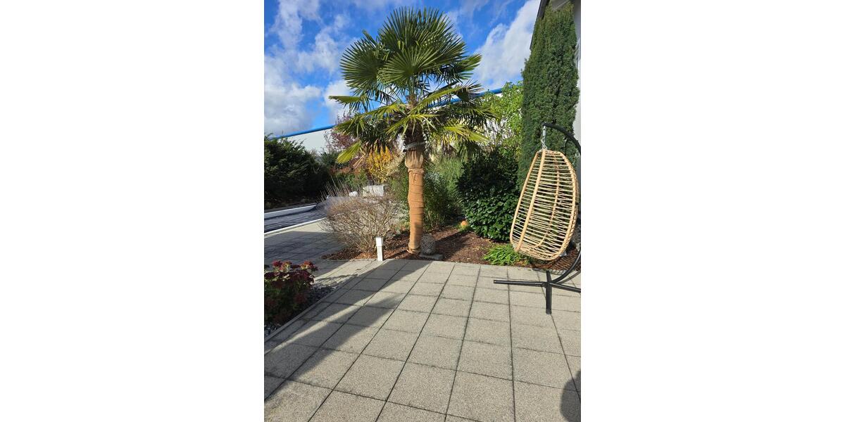 Einfamilienhaus Alteglofsheim - 12 Zimmer, 465 m&sup2;, 3.950&euro; | Angebot:24643423