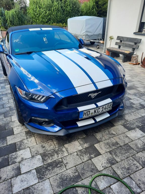 Mustang