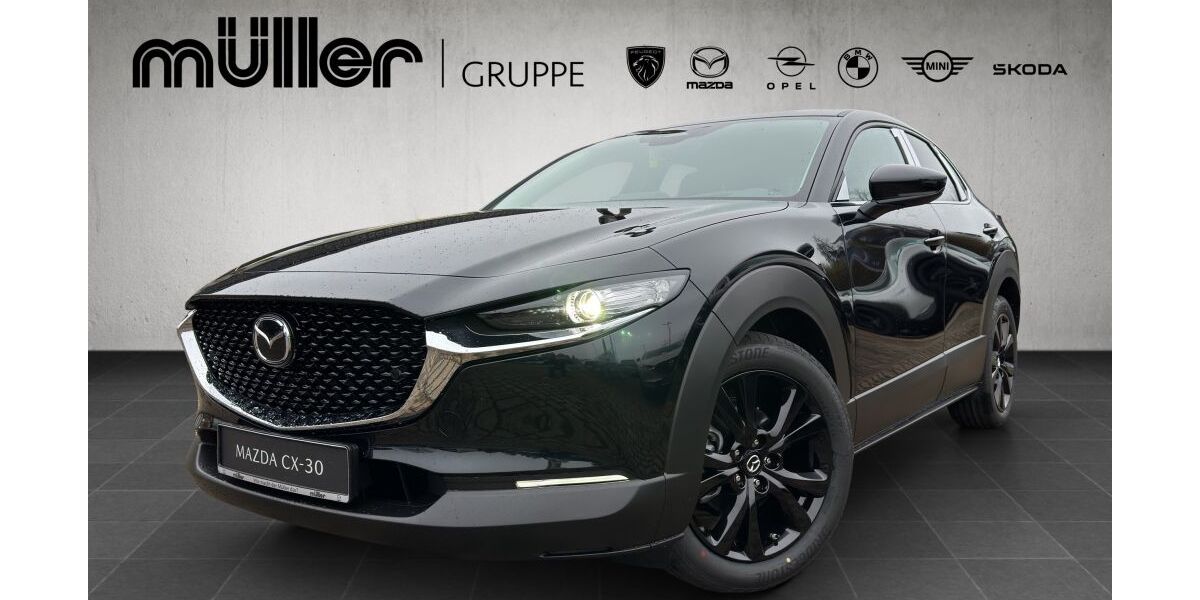 Mazda CX-30 1.392 km 30.902 &euro; Losheim am See 66679