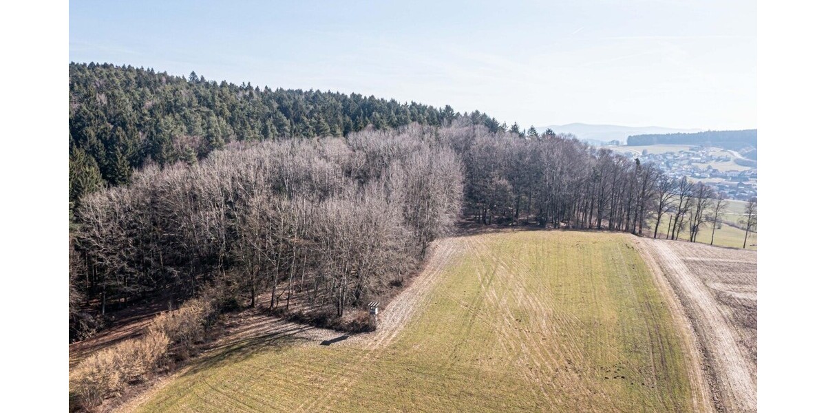 Attraktive Mischwaldgrundstücke mit viel Potenzial - Grundstück Chamerau / Bärndorf Bärndorf | Angebot:26531488