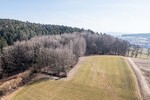 Attraktive Mischwaldgrundstücke mit viel Potenzial - Grundstück Chamerau / Bärndorf Bärndorf | Angebot:26531488