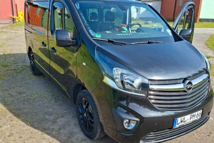 Opel Vivaro 121.000 km 17.950 &euro; Groß Rogahn 19073