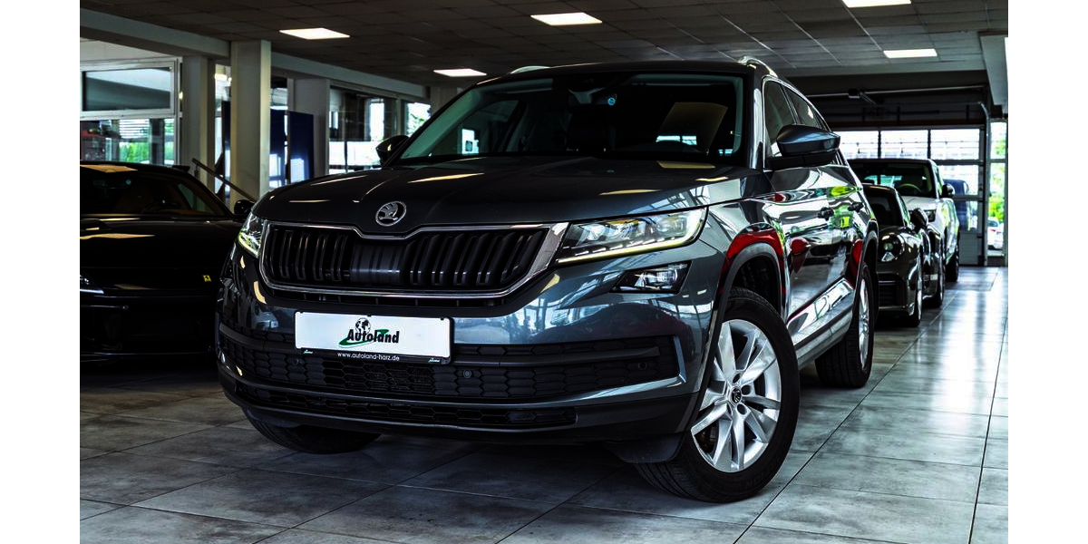 Skoda Kodiaq 109.500 km 21.980 &euro; Wernigerode 38855