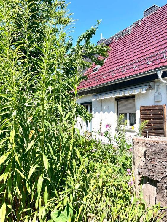 Liebhaberobjekt! Charmante Doppelhaushälfte mit Sauna, Garten und viel Potential in Freital!