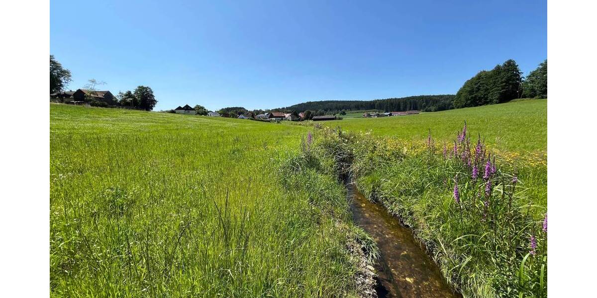 Grundstück Waidhaus - 100.000&euro; | Angebot:25697462
