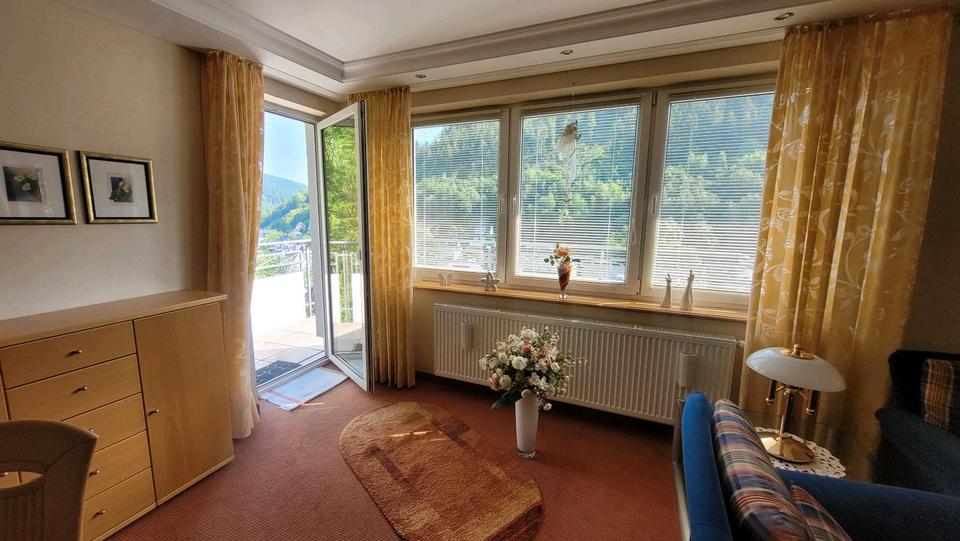 Terrassenwohnung Willingen (Upland) - 2 Zimmer, 66 m&sup2;, 215.000&euro; | Angebot:27071503