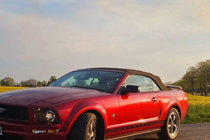 Ford Mustang 165.000 km 13.999 &euro; Tülau 38474