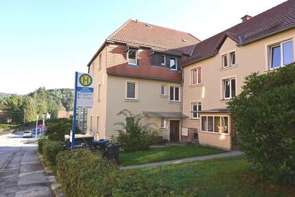 Wohnung Sebnitz Hainersdorf - 2 Zimmer, 48 m&sup2;, 290&euro; | Angebot:27438530
