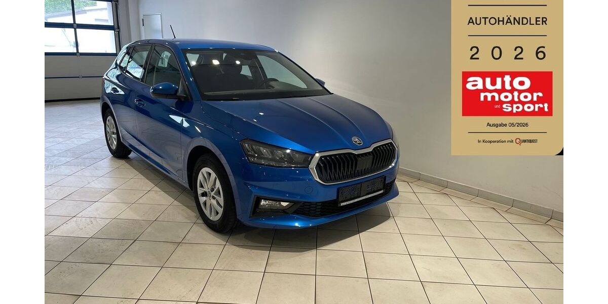 Skoda Fabia 21.672 km 17.499 &euro; Frohburg 04654