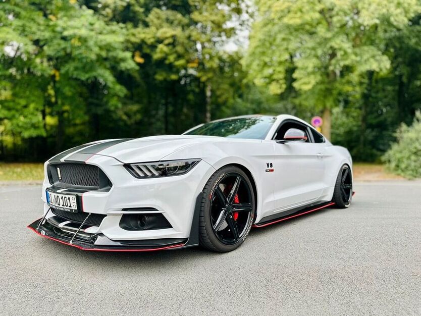 Mustang
