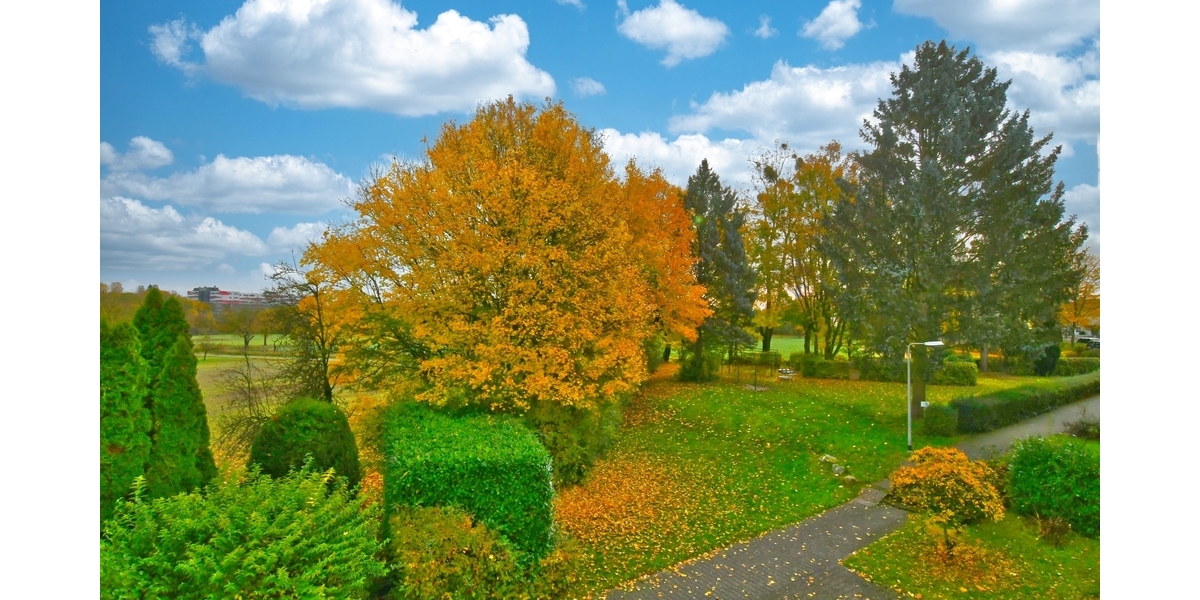 Angebotsverfahren beendet - Wohnung ist reserviert!!! 4 zimmer