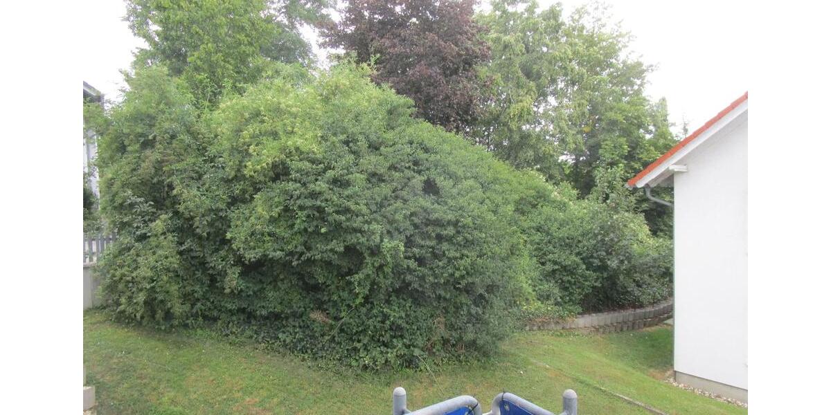 Hochparterre Diez - 2 Zimmer, 45 m&sup2;, 129.000&euro; | Angebot:27122021