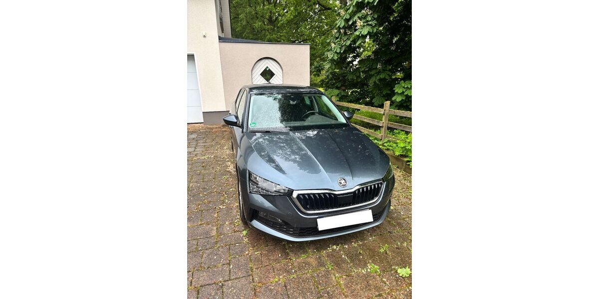 Skoda Scala 88.500 km 14.500 &euro; Hilter 49176
