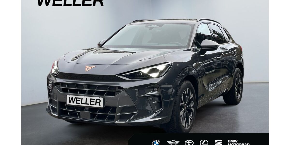 Cupra Terramar 18.780 km 33.649 &euro; Herford 32049