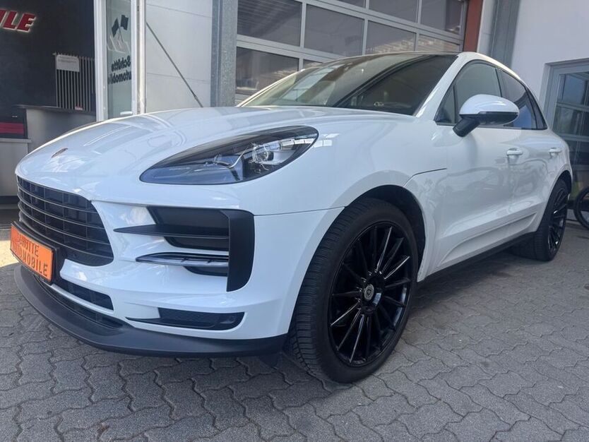 Macan