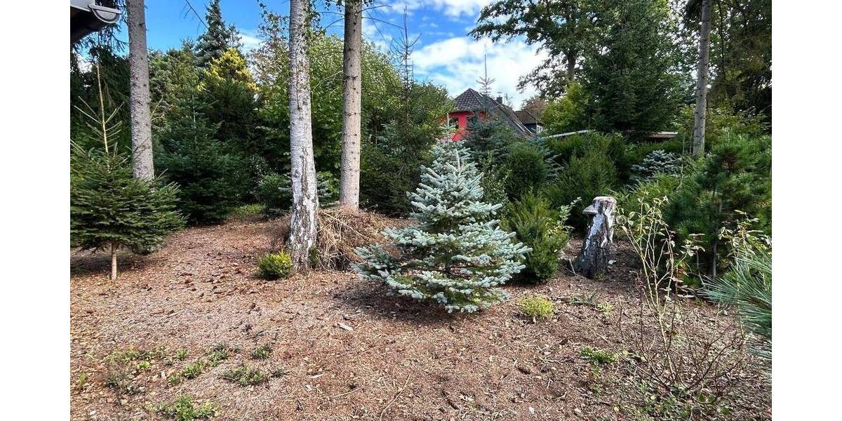 Einfamilienhaus Chemnitz Glösa-Draisdorf - 2 Zimmer, 65 m&sup2;, 225.000&euro; | Angebot:26842057
