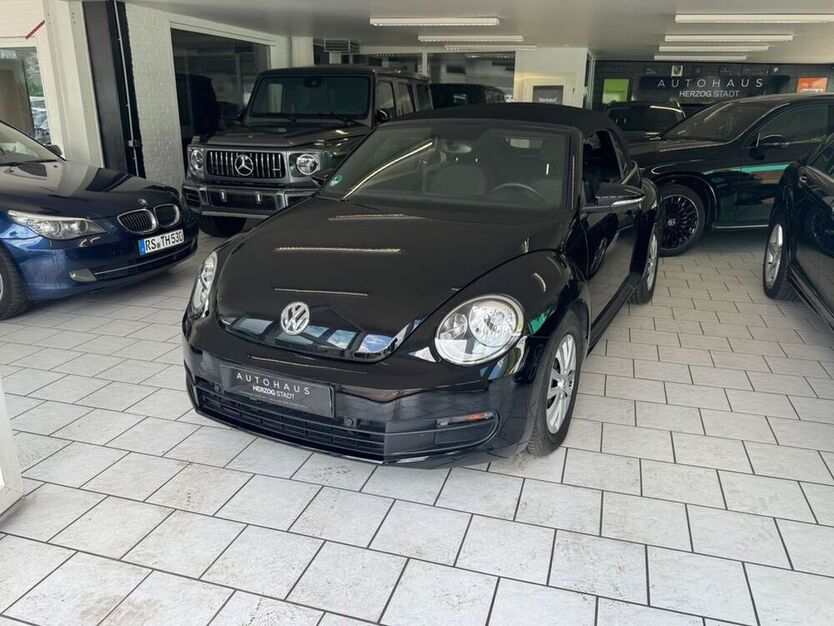 Beetle