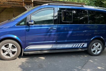 Mercedes Viano