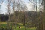 Grundstück Flossenbürg Altenhammer - 54.000&euro; | Angebot:25727289