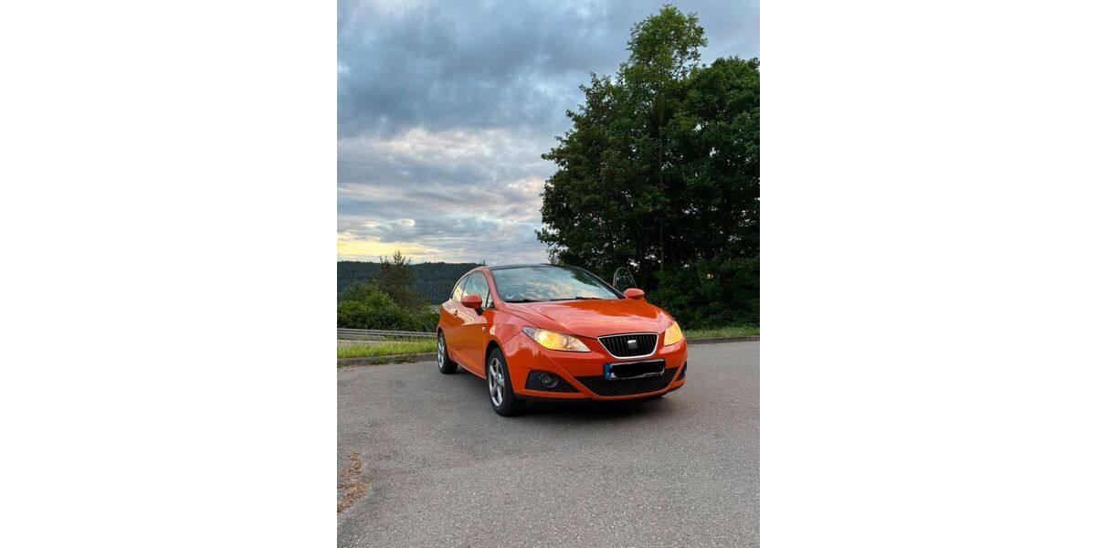 Seat Ibiza 242.406 km 1.500 &euro; Neuhausen ob Eck 78579