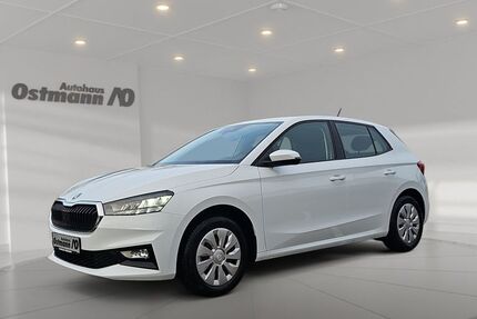 Skoda Fabia 20.113 km 18.990 &euro; Bad Arolsen 34454