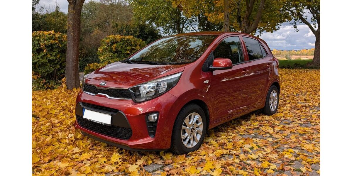 Kia Picanto 37.000 km 10.800 € Kettig 56220