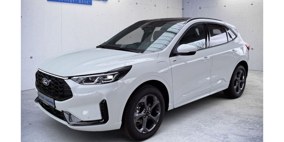 Ford Kuga 1.584 km 37.880 &euro; Teningen-Köndringen 79331