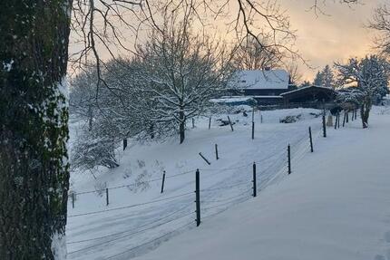 BAUERNHOF - PFERDEHOF - 4 HEKTAR WEIDE - LEBEN MIT TIEREN zimmer