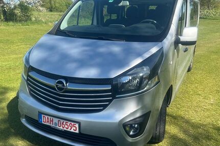 Opel Vivaro 166.400 km 14.900 &euro; Odelzhausen 85235
