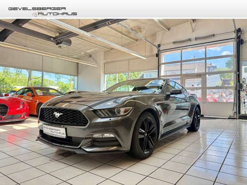 Mustang